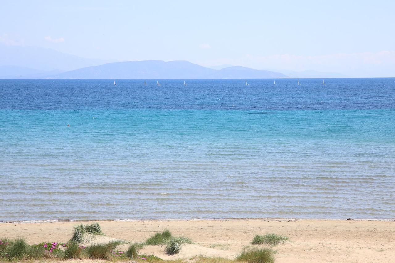 Nami Sea View Near Airport Apartment Artemida  Exterior photo